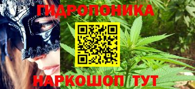 прущие грибы Кимры