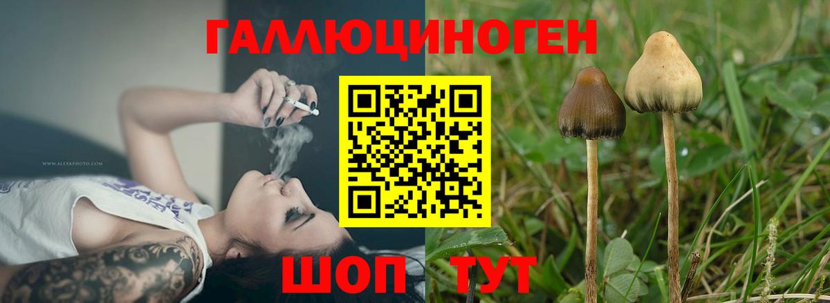 Щёлково  Псилоцибиновые грибы Psilocybine cubensis  Галлюциногенные грибы MAGIC MUSHROOMS  Вход с VPN 